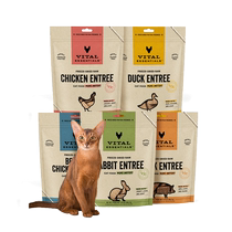 vitalessentials US imported cat food ve freeze-dried meat patties cat staple food raw bone meat chicken 425 2g