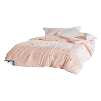 Mercury Home Textiles Silk Quilt 100% Mulberry Silk Antibacterial Quilt Core Spring and Autumn Quilt Full Cotton Winter Quilt Two-in-One Quilt Mother Quilt