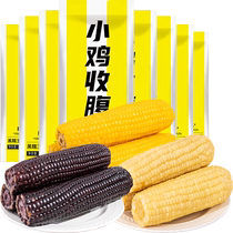 Low-fat sweet waxy corn Northeast vacuum-packed sticky corn on the cob yellow corn fresh ready-to-eat multigrain breakfast
