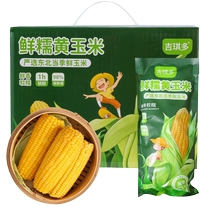 Northeast fresh waxy yellow corn vacuum packaging 220g*4 8 10 semi-cooked low-fat whole grains