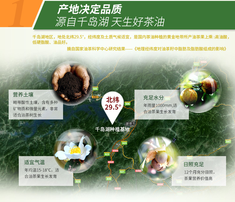 千島源純正茶油2L 山茶油