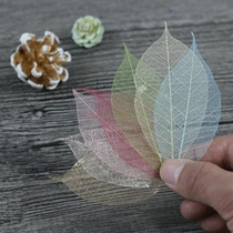 Yongshenghua small leaves Japan Land Farm transparent small leaves with 51494Toka Bodhi heart-shaped leaf veins