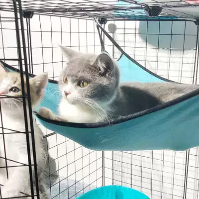 Cat hammock suction disc hanging nest cat Nest summer sun cat bed nest window sill viewing small cat universal products