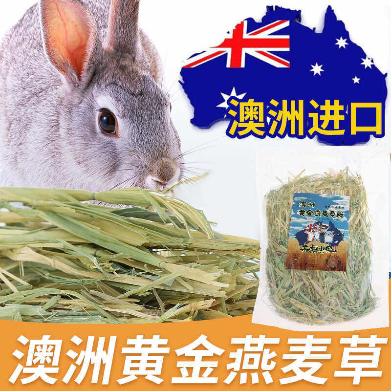 Picture of Australian golden oat hay: a nutritional feast for your pet rabbits ...