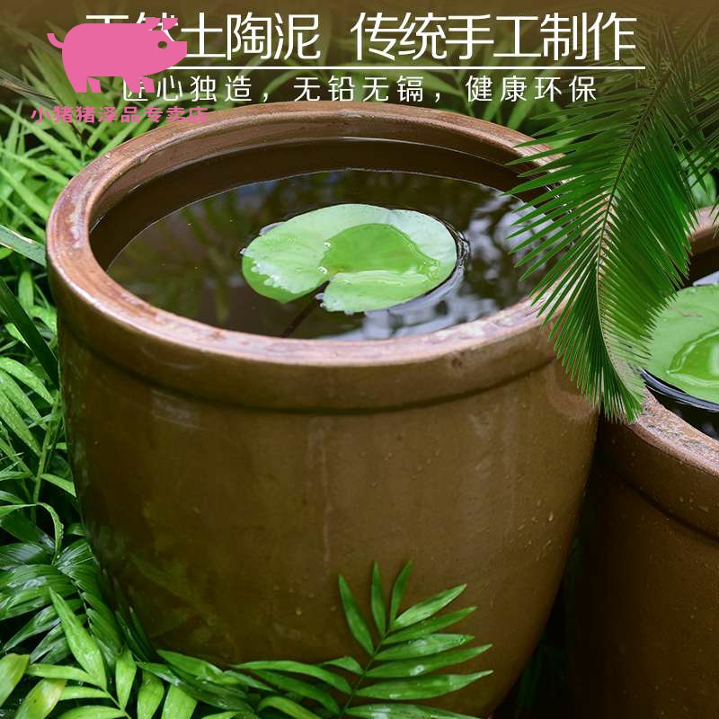 Water lily flower pot earthenware Water lily home lotus fish bowl lotus basin courtyard landscape old kitchen tank JiangGang