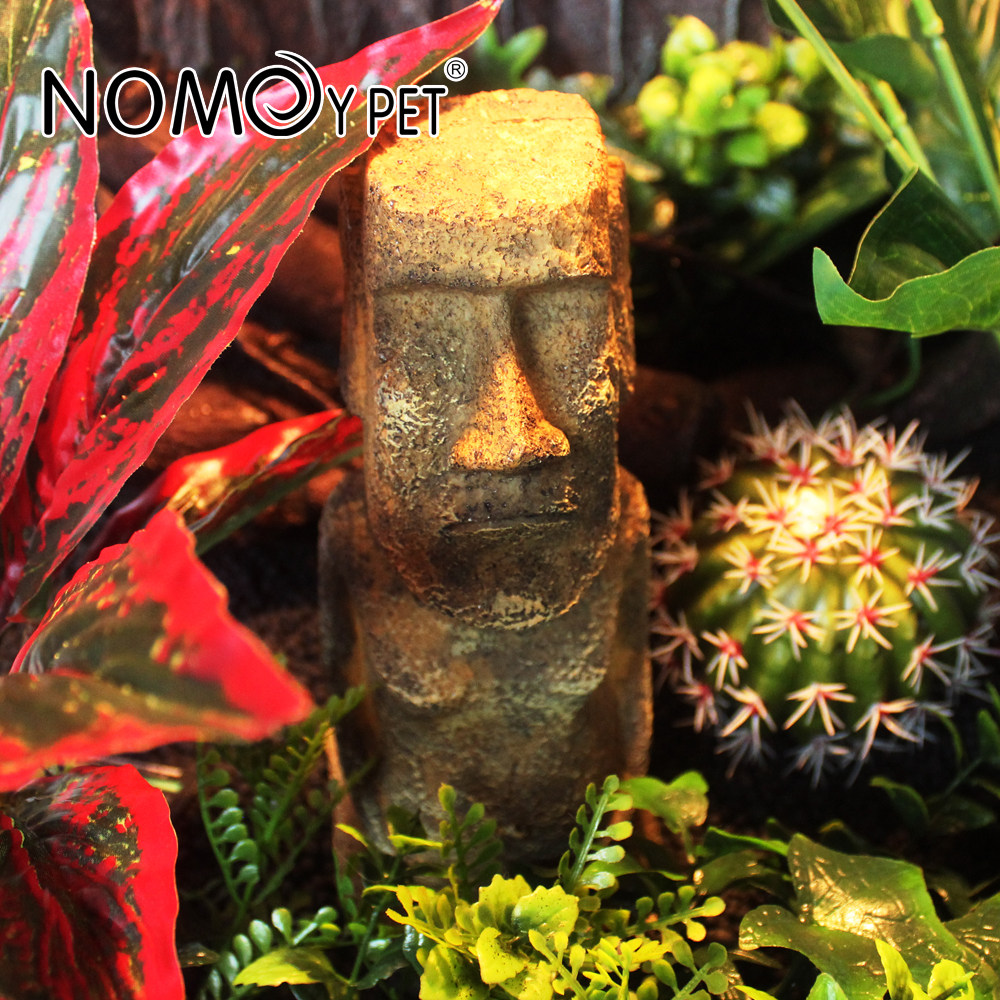 Reptile lizard case spider Spider Scorpion Rearing Box Pyramid Climbing box View Rainforest Jar Snake Tropical Desert Decorated with View