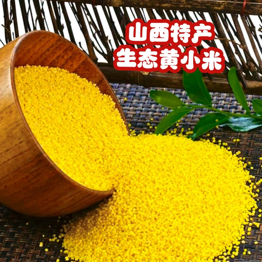 山西特产生态黄小米