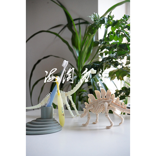 Child Dentistry Recommendation LION Lion King Infant Child Mitch Silicone Handle Soft Hair Toothbrush Bendable