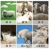 戈麦斯 Электрические ножницы, электрическое лезвие, высокая мощность