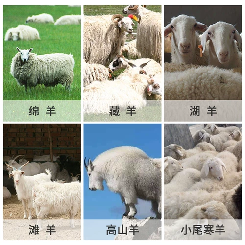 戈麦斯 Электрические ножницы, электрическое лезвие, высокая мощность