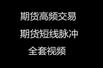 Futures pulse trading momentum trading ultra-short-term technology video training classic tutorial good work.