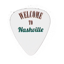 American-made DAndrea country music theme pick CO351 folk wood electric guitar pick thickness optional