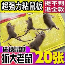 Mice patch puissant autocollant de rat pour arrêter la maison de rat super grande taille augmenter la plaque adhésive épaissie