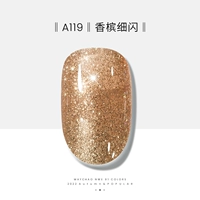 A119-Champagne Flash Flash