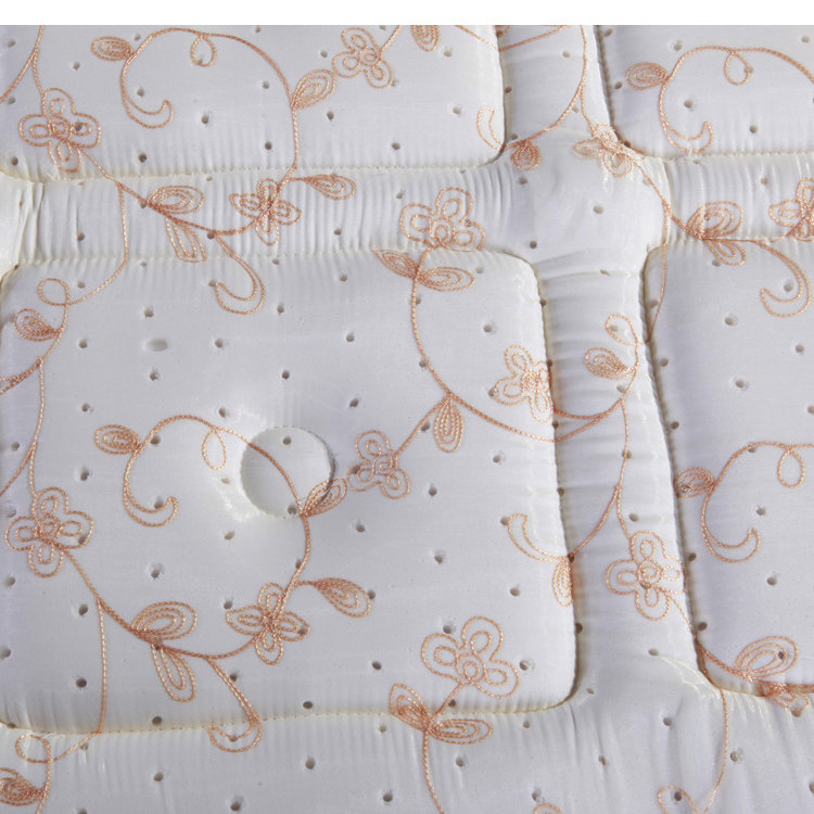 һ��һƷ����1.8��˫�˴���D1256