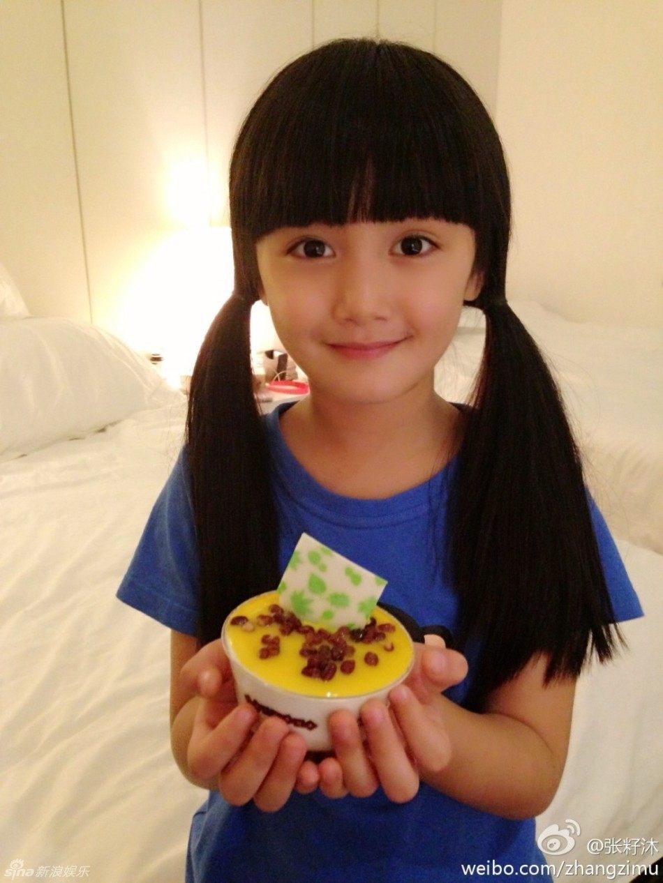 Perruque Long cheveux raides - Ref 2608225 Image 11