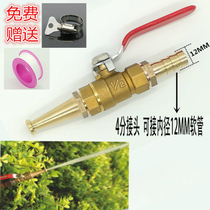 Household car wash water gun head copper water gun nozzle 4 points 6 points 1 inch water pipe hose in-line water gun high pressure nozzle head