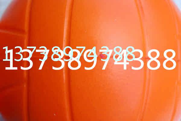 Ballon de volley-ball - Ref 2012481 Image 10