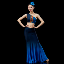 Dai dance performance clothing female Dai performance clothing female ethnic Dai peacock dance fishtail skirt art test clothing