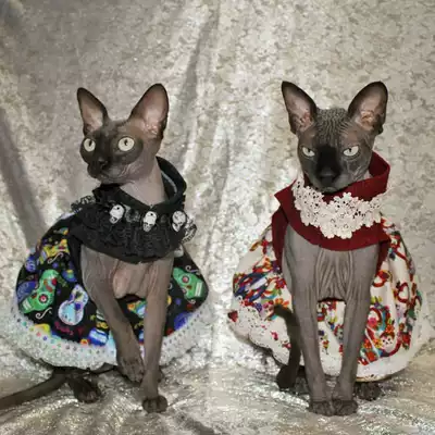 Please shoot the postage to make up the difference