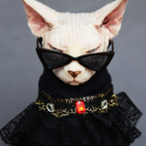 Pet new black and white red multi-color triangle cat eye glasses jewelry eonpet super cool sunglasses good quality