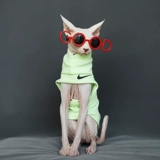 Индивидуальные Safincs безволосы