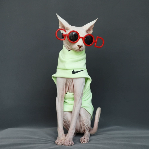 Индивидуальные Safincs безволосы