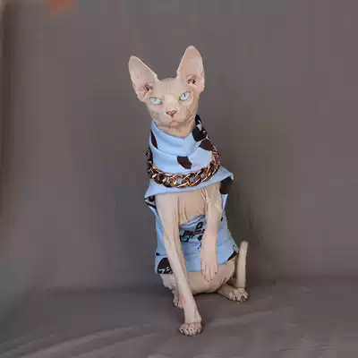 Custom hairless cat pet clothes plus velvet Tide brand ins Wind Spring Autumn Winter plus velvet warm Sphinx Special