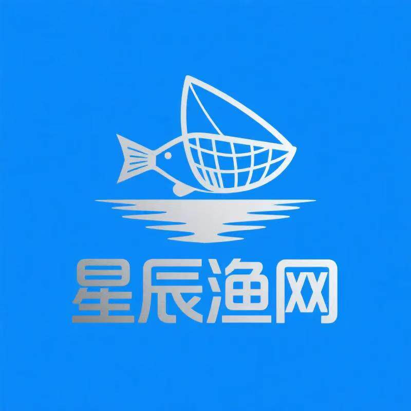 巢湖星辰渔网的LOGO