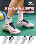 Mizuno, волейбольная дышащая спортивная обувь подходит для мужчин и женщин с амортизацией, 24 года
