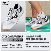 055 【Новые 25 лет 】【 SF Express Бесплатная доставка】