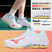 V1GC246030 【Новая модель в течение 25 лет】