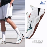 V1GA211248 элитные волейбольные кроссовки