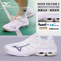 Белый/серый V1GC246025