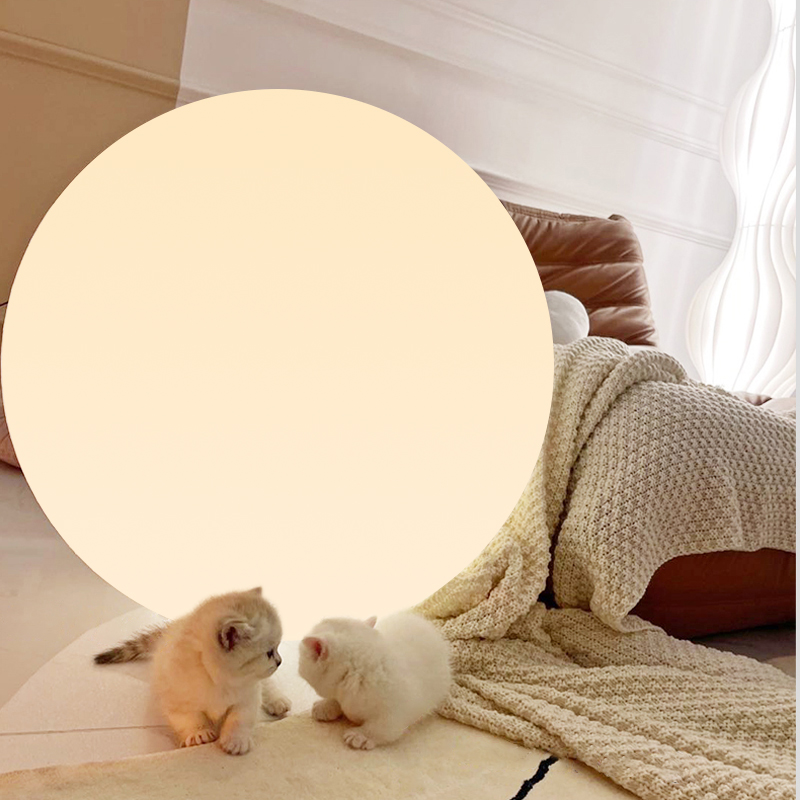 Floor lamp Bedroom Living room minimalist Moon Light Netting Red Ins Wind Light Extravagant and Round Spherical Table Lights Buried lights