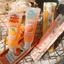 Fruit aroma) Artist Tooth Probiotics Toothpaste Fresh Fruit Flavor Remarkable for Children Pregnant Women Available