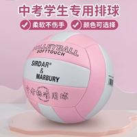 Вступительный экзамен в средней школе Sada Volleyball № 5 начальные и средние школы. Стандартное обучение Специальное спортивное мяч Soft Girl Pink Pink