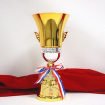 Premium Metal Trophy Football Trophy Sports Trophy Competition Trophy Basketball Trophy Custom Made Racing