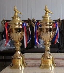 Pigeon racing trophy high-end trophy crystal trophy pigeon trophy custom factory outlet