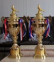 Pigeon racing pigeon competition trophy High-grade trophy Crystal trophy Carrier pigeon trophy custom factory direct sales