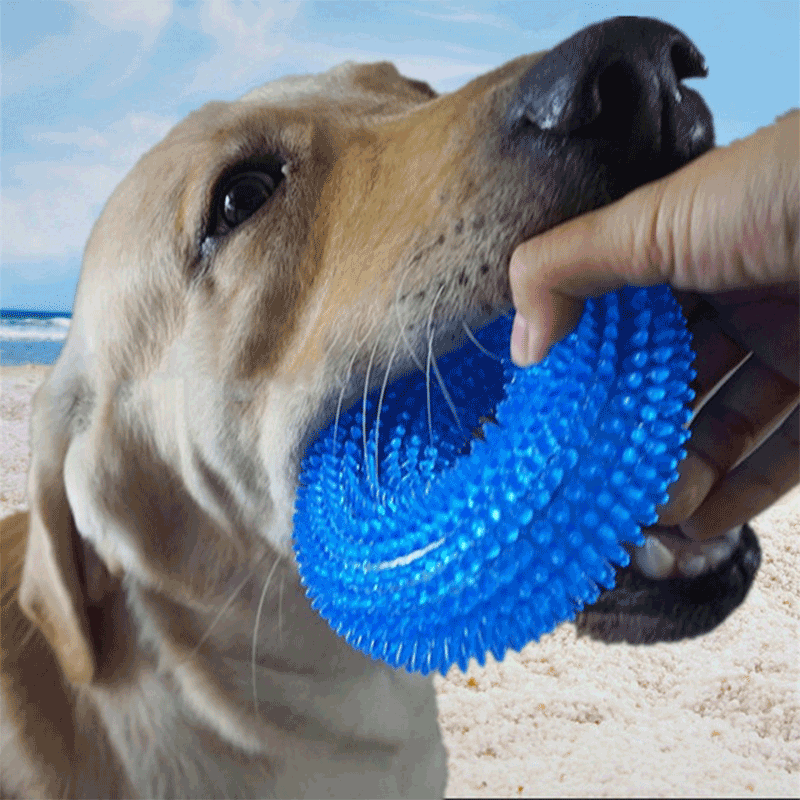 Dog toys sound and bite small puppy dog teddy toy ball play with cleaning teeth large dog dreads