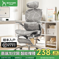 Ergonomic Chair, Comfortable for Long Periods of Sitting, Office Chair, Home Study Computer Chair, Reclining Gaming Chair, Office Seat
