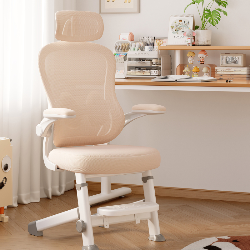 Special Chair for Middle and High School Students, Home Ergonomic Adjustable Seat, Youth Writing and Waist-Protecting Desk Chair