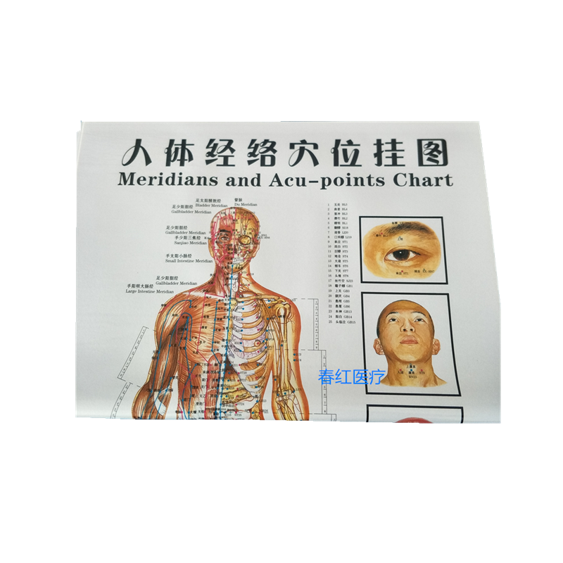 足部反射區圖穴位圖掛圖足底按摩圖足圖人體經絡穴位圖針灸圖全身