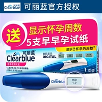 Подарки Ранняя беременная испытательная полоса] Cocylon Ранняя беременная тест на беременность Электронная тест на беременность тест на беременность тест на тест на беременность тест на беременность