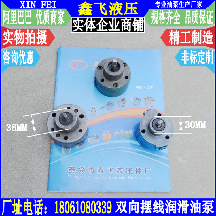 SCZYB-0 SCZYB-0 8 SCZYP-0 84 SCZYB-1 6 reversible bidirectional oil pumps cycloidal lube pumps-Taobao
