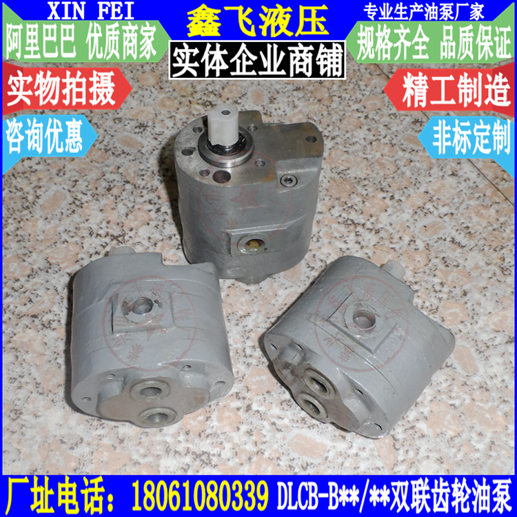 DLCB-B2 5 2 5 Double Pump CB Low Pressure Twin gear oil pumps Two-in-two-out oil supply lubricating pumps
