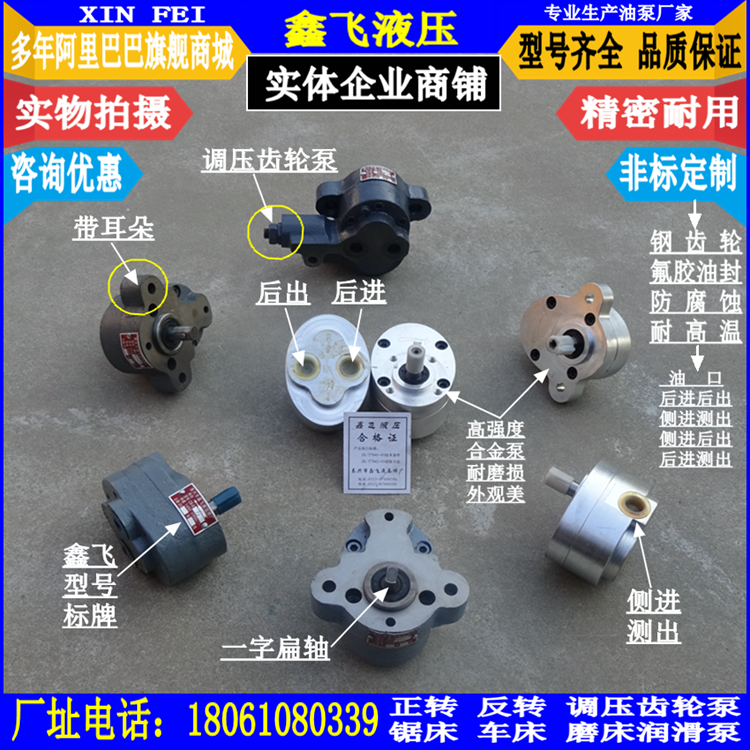 CB-B6 B10 B4 B16 B20 B25 B32 B40 B50 B63 B80 B100 B125 Gear pump
