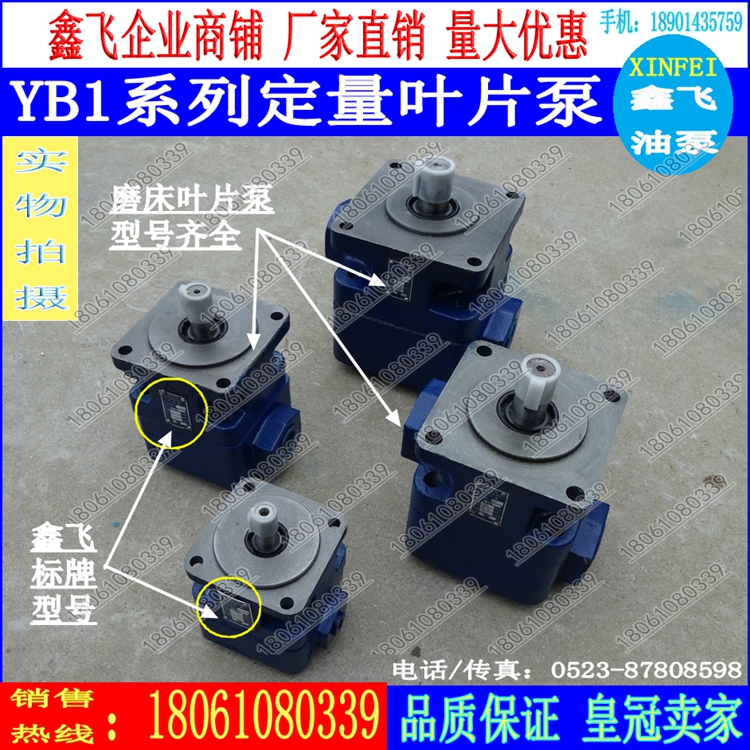 M7130 Flat grinding machine oil pump YB1-100 vane pump M7140 hydraulic pump M7160 low pressure lubrication M7132B
