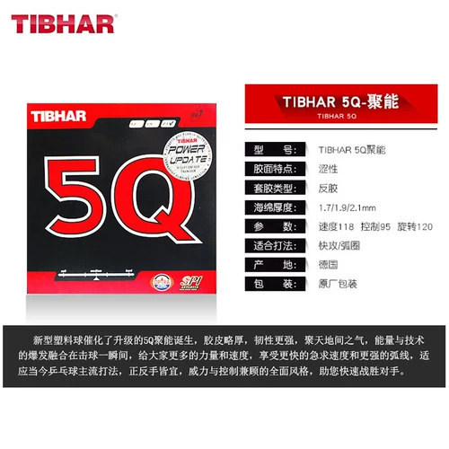 Германия Тибхар в вертикальном положении 5Q Poly Energy 5QVIP настольный теннис
